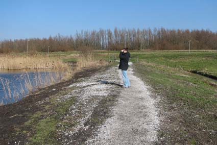 Path around bird lake Starrevaart, the Netherlands