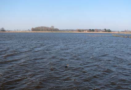 View of Starrevaart from the bird hide