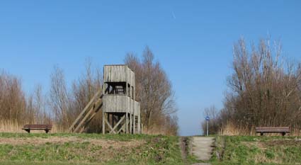 Tower at Starrevaart