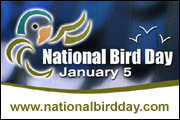 National Bird Day banner