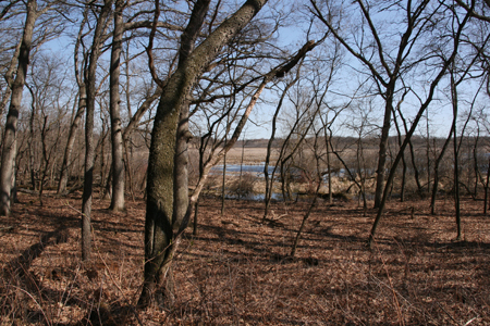 pond-from-trail