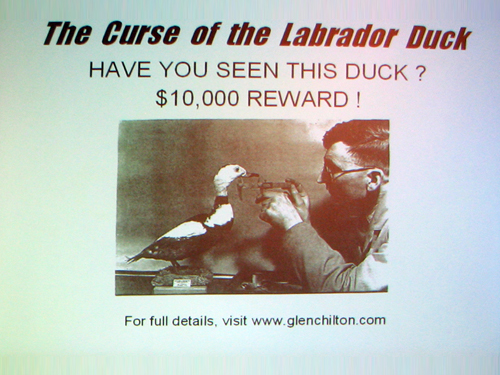 Reward for Labrador Duck